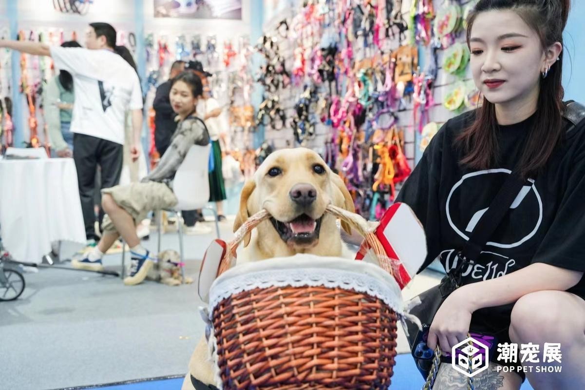 廣州寵物展會2025年展覽會 廣州寵物展會2025年展覽會 2025長城杯龍魚大賽 第2張
