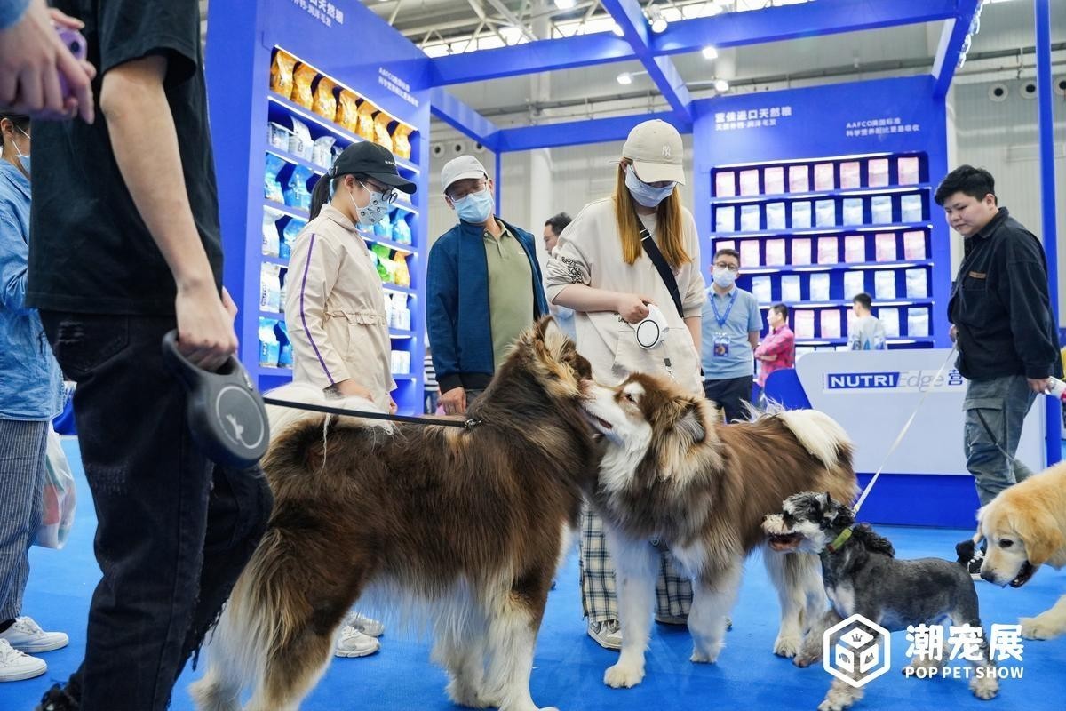 廣州寵物展會2025年展覽會 廣州寵物展會2025年展覽會 2025長城杯龍魚大賽 第1張
