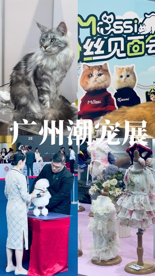 廣州寵物展會2025年展覽會 廣州寵物展會2025年展覽會 2025長城杯龍魚大賽 第6張