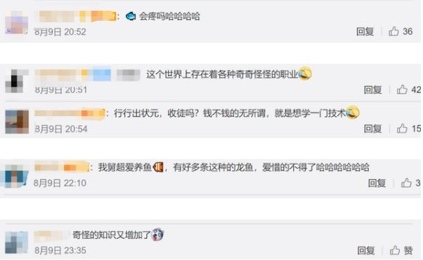 龍魚割雙眼皮：割雙眼皮手術(shù)的風險有哪些？