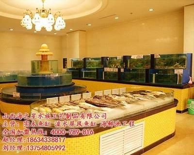 生態(tài)魚缸的設(shè)計藝術(shù)：山西海之星水族工藝制品有限公司