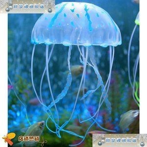 熱帶魚飼養(yǎng)指南熱帶魚飼養(yǎng)指南熱帶魚飼養(yǎng)指南熱帶魚飼養(yǎng)指南：海洋生態(tài)魚缸造景技巧 熱帶魚飼養(yǎng)指南熱帶魚飼養(yǎng)指南熱帶魚飼養(yǎng)指南熱帶魚飼養(yǎng)指南：海洋生態(tài)魚缸造景技巧 魚缸百科 第2張