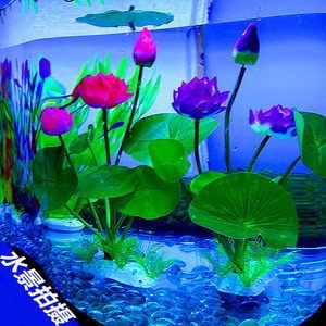 熱帶魚飼養(yǎng)指南熱帶魚飼養(yǎng)指南熱帶魚飼養(yǎng)指南熱帶魚飼養(yǎng)指南：海洋生態(tài)魚缸造景技巧 熱帶魚飼養(yǎng)指南熱帶魚飼養(yǎng)指南熱帶魚飼養(yǎng)指南熱帶魚飼養(yǎng)指南：海洋生態(tài)魚缸造景技巧 魚缸百科 第1張