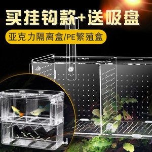 自制隔離網(wǎng)魚缸隔離網(wǎng)魚缸對(duì)隔離網(wǎng)魚缸的影響是什么：不同種類的魚缸對(duì)隔離網(wǎng)的需求