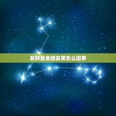 龍魚鰭變黑：龍魚鰭變黑可能由多種因素引起， 龍魚鰭變黑：龍魚鰭變黑可能由多種因素引起， 龍魚百科 第4張
