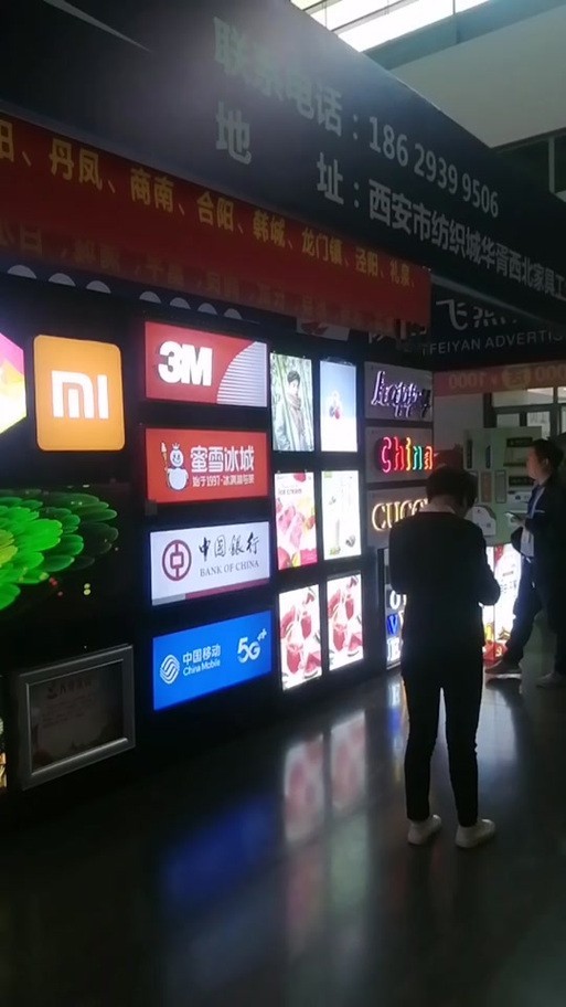 龍魚展會