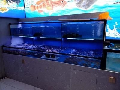 茂名化州市寵物店、水族館、水族館的區別:化州市寵物店和水族箱養護指南,化州魚缸養護指南 魚缸百科 第1張 茂名化州市寵物店、水族館、水族館的區別:化州市寵物店和水族箱養護指南,化州魚缸養護指南 茂名化州市寵物店、水族館、水族館的區別:化州市寵物店和水族箱養護指南,化州魚缸養護指南 魚缸百科 第1張