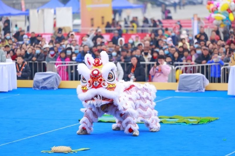 金龍總冠軍“帝國龍魚”背景