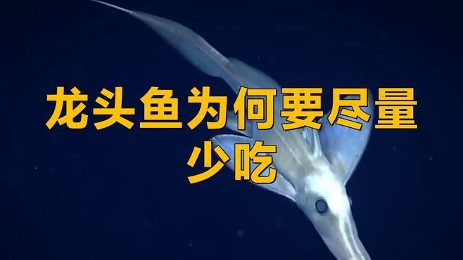 龍頭魚有什么禁忌