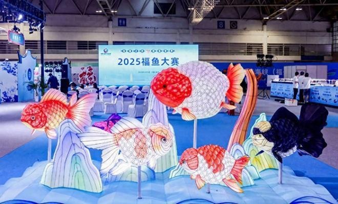 還有哪些福州金魚展覽活動？