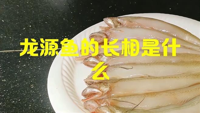 如何挑選新鮮的龍頭魚？