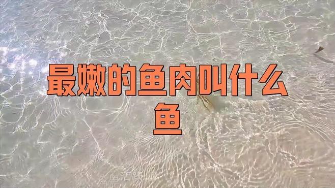 如何挑選新鮮的龍頭魚？