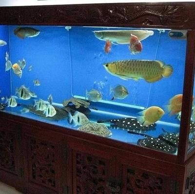 廣州定做大型魚缸的報價：廣州定做大型魚缸價格