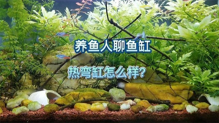 熱彎魚缸結實嗎，熱彎魚缸與普通魚缸對比如何檢測魚缸質量優劣大型魚缸選擇指南 熱彎魚缸結實嗎，熱彎魚缸與普通魚缸對比如何檢測魚缸質量優劣大型魚缸選擇指南 魚缸百科 第1張
