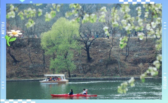 水長城寵物多少錢一只2023年最新價目表