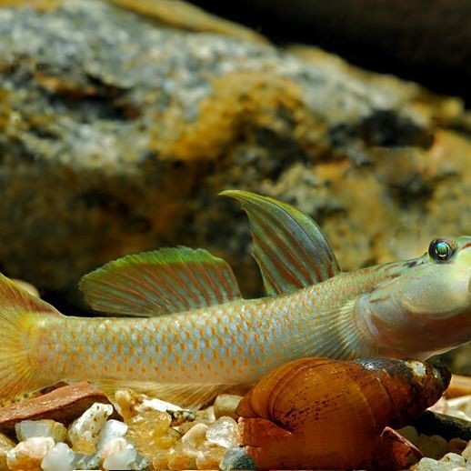 五大連池市海洋水族館（五大連池新開的水上樂園）