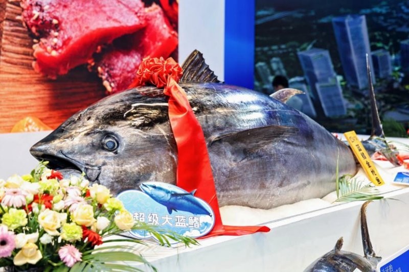 2025年哪個水族展規模最大？