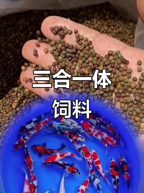 有哪些品牌的增色飼料推薦？