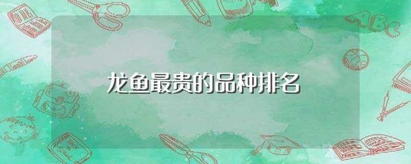 十大名貴龍魚有哪些品種（十大名貴龍魚品種）