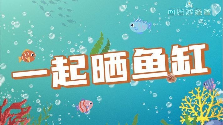 好美魚缸：\"好美魚缸設計與功能強調其美觀、實用和生態友好