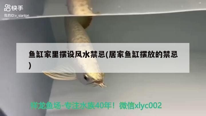 湛江市霞山區佳鴻寵物店