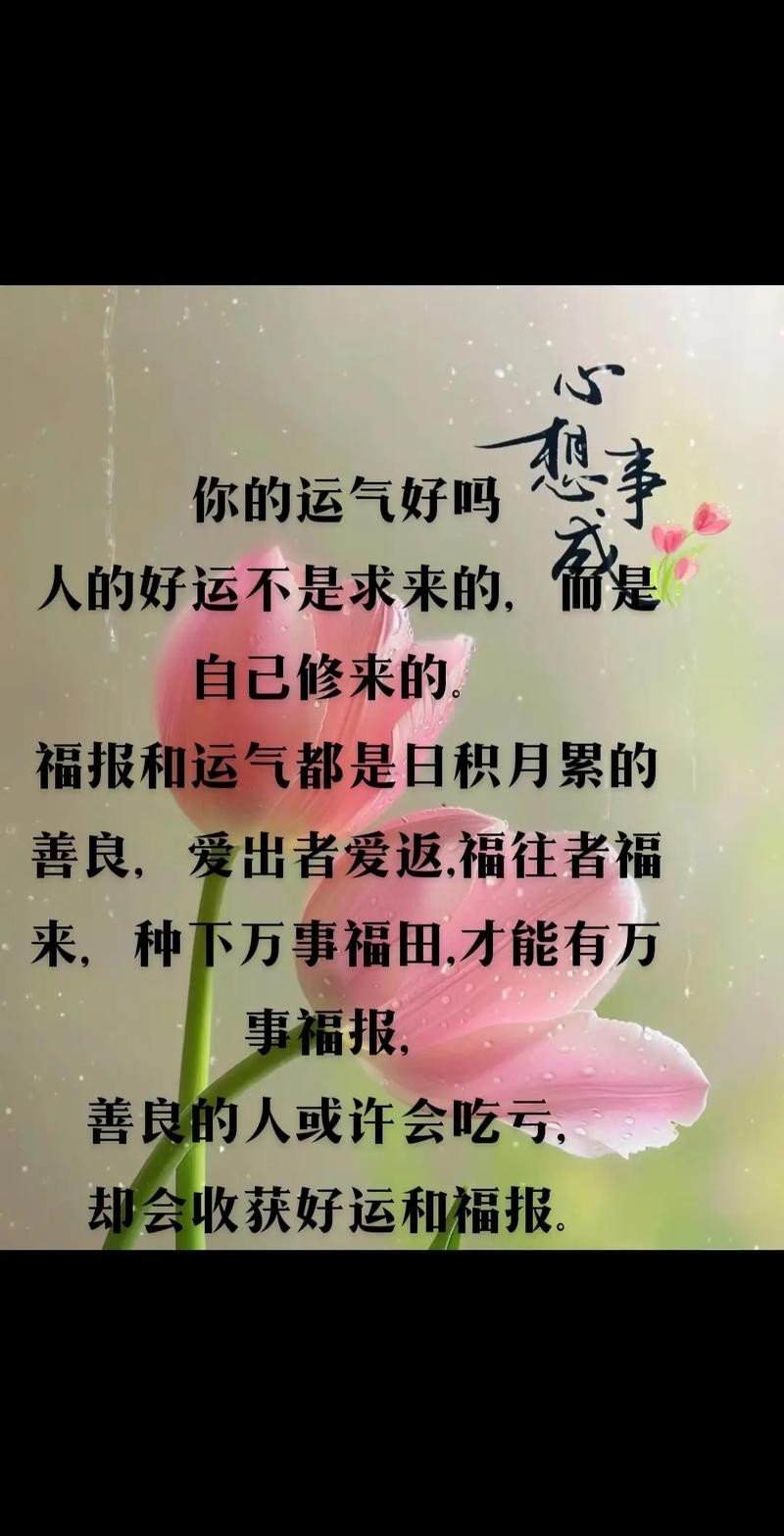 運氣最旺的10張圖片 龍魚論壇 第3張 運氣最旺的10張圖片 運氣最旺的10張圖片 龍魚論壇 第3張