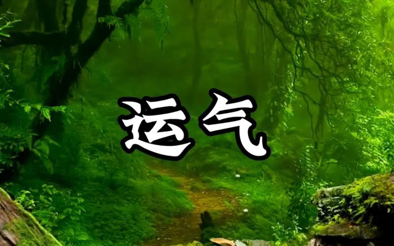 運氣最旺的10張圖片 龍魚論壇 第22張 運氣最旺的10張圖片 運氣最旺的10張圖片 龍魚論壇 第22張