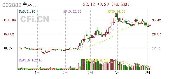 金龍羽最新消息今天