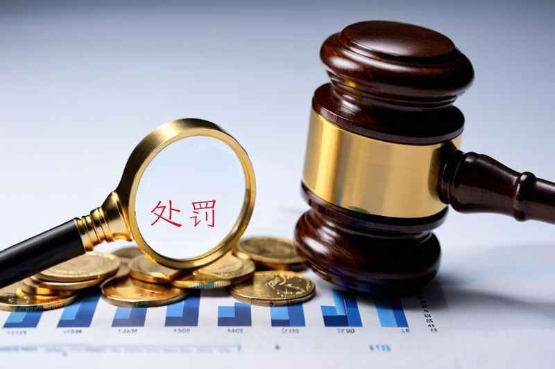 金龍羽最新消息今天