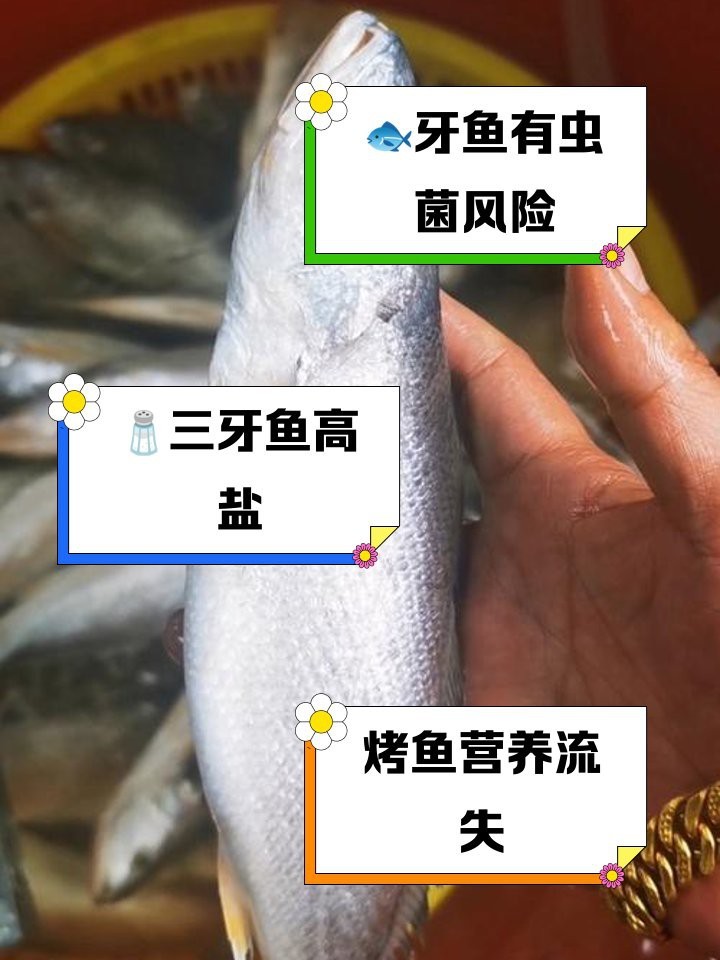 三間魚為何盡量少吃 三間魚為何盡量少吃 龍魚論壇 第1張