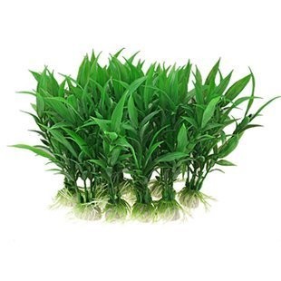 魚缸換水要全部換掉嗎（魚缸換水的最佳時(shí)間）