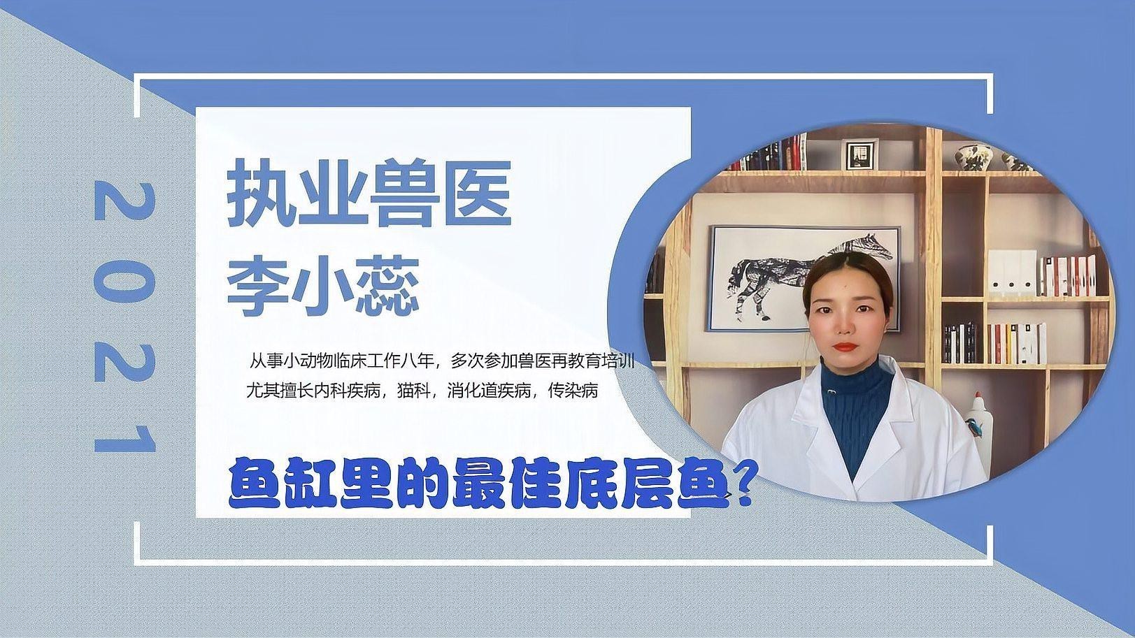 《龍魚養殖與鑒賞2004》有哪些版本？ 《龍魚養殖與鑒賞2004》有哪些版本？ 2025長城杯龍魚大賽 第18張