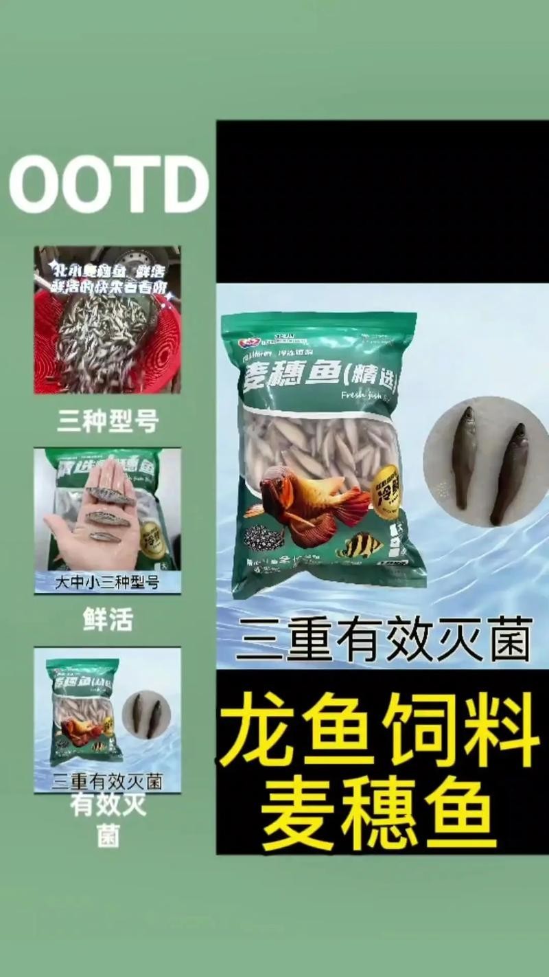 龍魚吃什么餌料