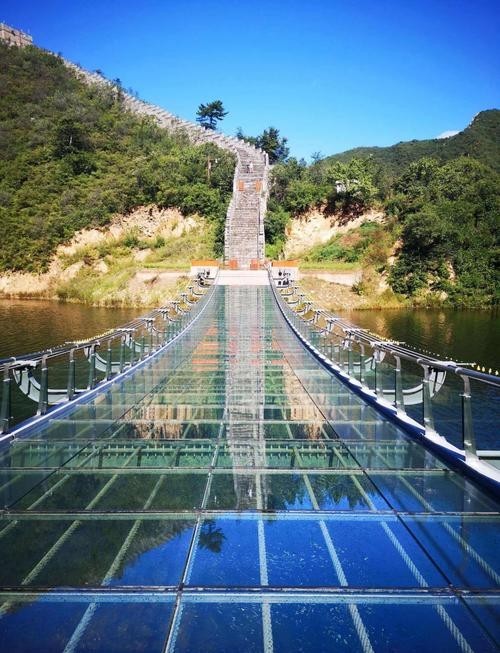 水長城有哪些寵物友好項目? 2025長城杯龍魚大賽 第4張 水長城有哪些寵物友好項目? 水長城有哪些寵物友好項目? 2025長城杯龍魚大賽 第4張