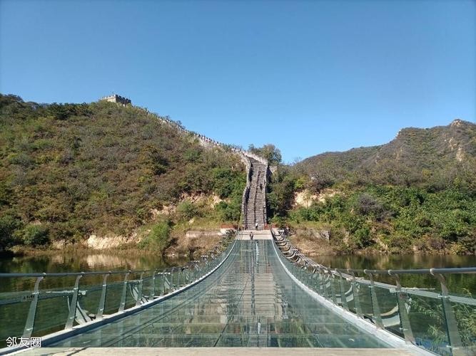 水長城有哪些寵物友好項目? 2025長城杯龍魚大賽 第3張 水長城有哪些寵物友好項目? 水長城有哪些寵物友好項目? 2025長城杯龍魚大賽 第3張