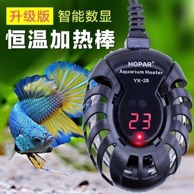 海霸魚缸怎么樣：海霸魚缸優(yōu)缺點分析 海霸魚缸怎么樣：海霸魚缸優(yōu)缺點分析 魚缸百科 第5張