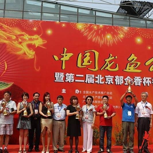 龍魚比賽規則