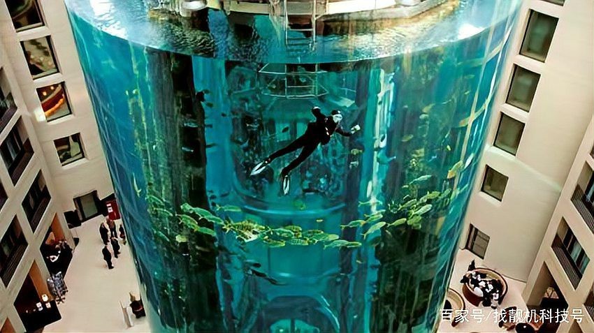 世界十大土豪魚缸排行榜