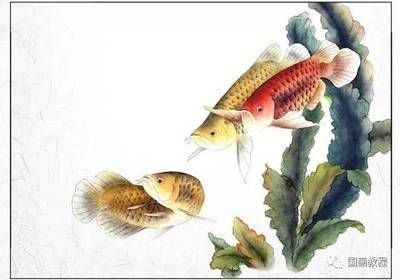 金龍魚 國畫：張利宏的金龍魚國畫作品《金龍魚國畫作品《金龍魚》