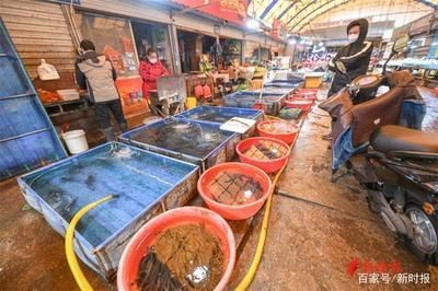 濟南龍魚市場（濟南最大的龍魚市場是哪個市）