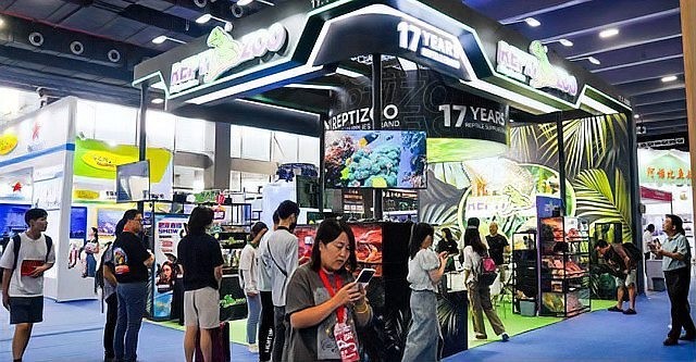 長城水族展2024年門票價格 長城水族展2024年門票價格 2025長城杯龍魚大賽 第7張