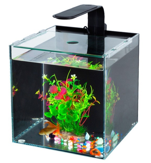 壹遇龍魚水族有官方網站嗎？