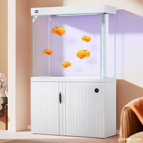 壹遇龍魚(yú)水族有官方網(wǎng)站嗎？
