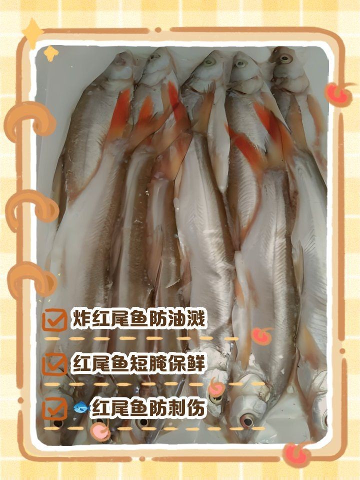 紅尾魚常見有毒部位