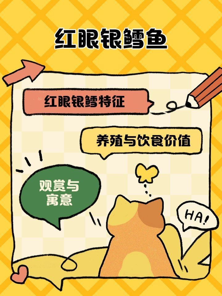 紅眼觀賞魚全部品種 紅眼觀賞魚全部品種 龍魚論壇 第1張