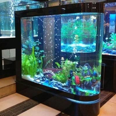 魚缸活性炭使用周期：關于魚缸活性炭的使用周期 魚缸活性炭使用周期：關于魚缸活性炭的使用周期 魚缸百科 第6張