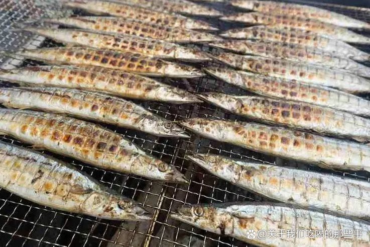刀魚為什么不建議吃 刀魚為什么不建議吃 龍魚論壇 第6張