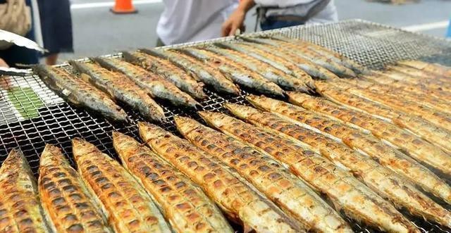 刀魚為什么不建議吃 刀魚為什么不建議吃 龍魚論壇 第7張