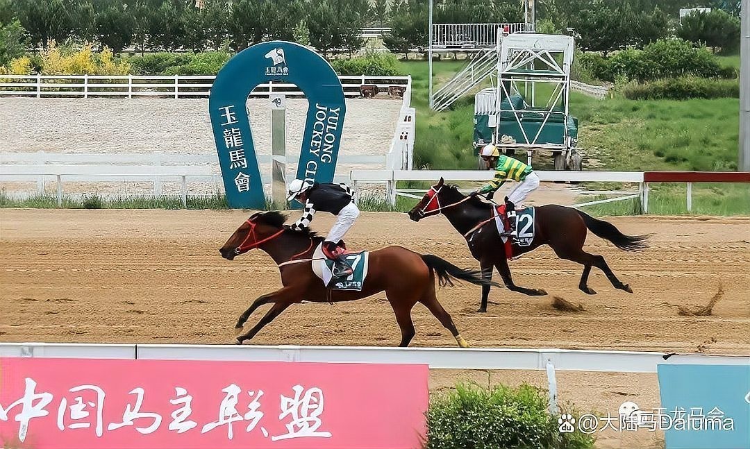 紅龍領域還有哪些重要賽事？