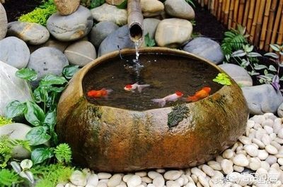 魚缸打皮：如何正確進行魚缸打皮